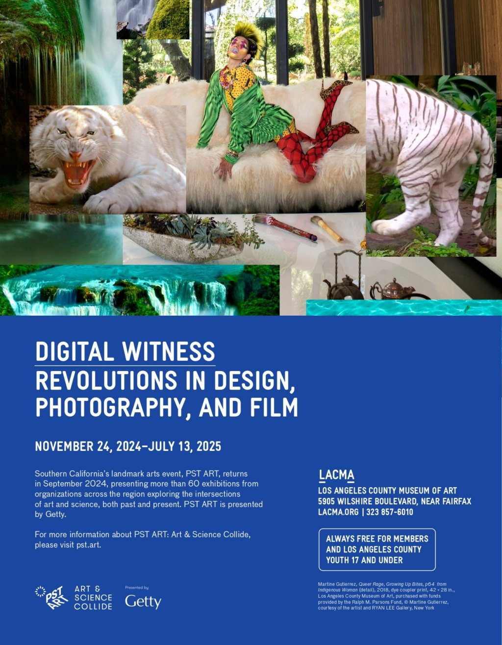 Digital Witness: Revolutions in Design, Photography, and Film